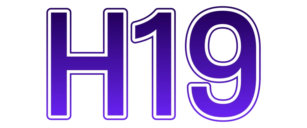 H19
